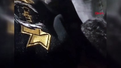 Yaralı Kediye Otomobil Çarptı, Kurtarılamadı