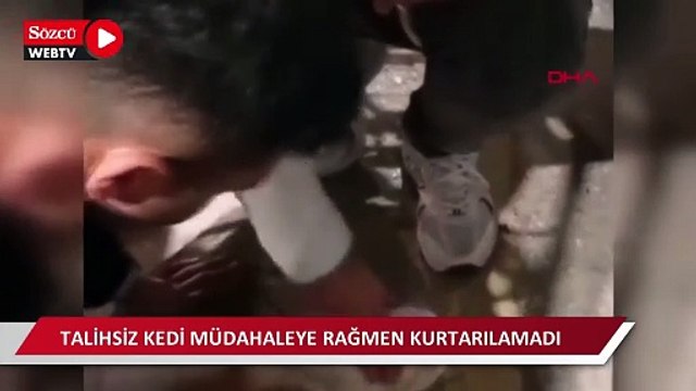 Otomobilin çarptığı kediye kalp masajı ve suni teneffüs kamerada; kurtarılamadı