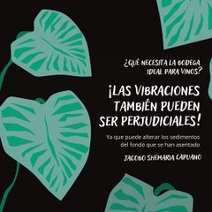 -Jacobo Shemaria Capuano- ¿Qué necesita la bodega ideal para vinos? (Parte 1) (Creado por @JacoboShemariaCapuano)