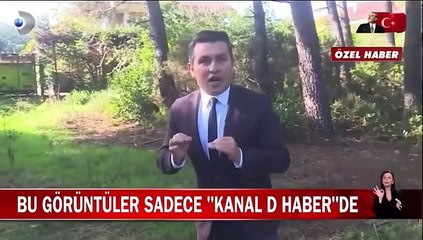 Dilan ve Engin Polat'ın, komşularının evini basma anına ait görüntüleri yayınlandı