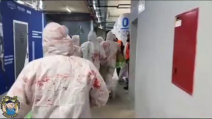 Tüm yasaklara rağmen... Real Sociedad taraftarından Filistin'e anlamlı destek!