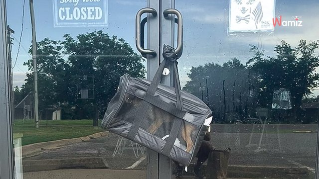 Arriva al lavoro e trova una misteriosa borsa sulla maniglia della porta