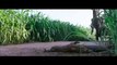 Bahubali Pig Hunting Scene Hindi - Bahubali Hindi Movie - Bollywood Movies - Epic Movie