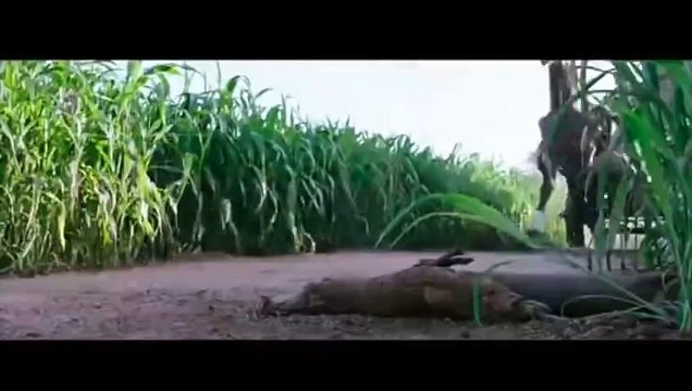 Bahubali Pig Hunting Scene Hindi - Bahubali Hindi Movie - Bollywood Movies - Epic Movie