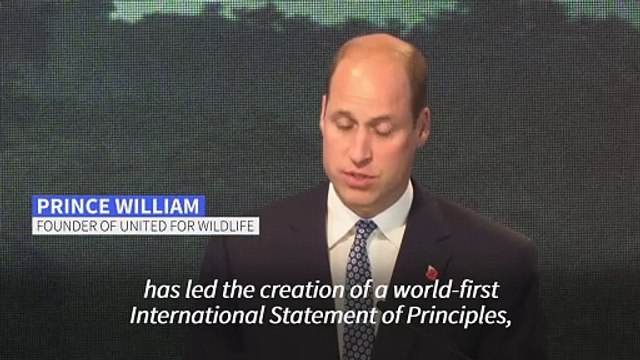 'We must be determined' to stop illegal animal trade: Prince William at Singapore summit