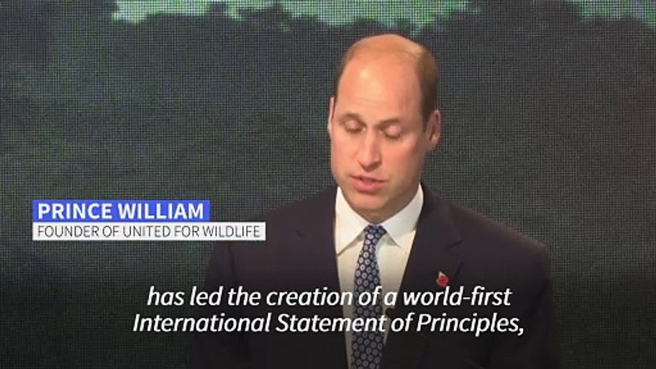 'We must be determined' to stop illegal animal trade: Prince William at Singapore summit