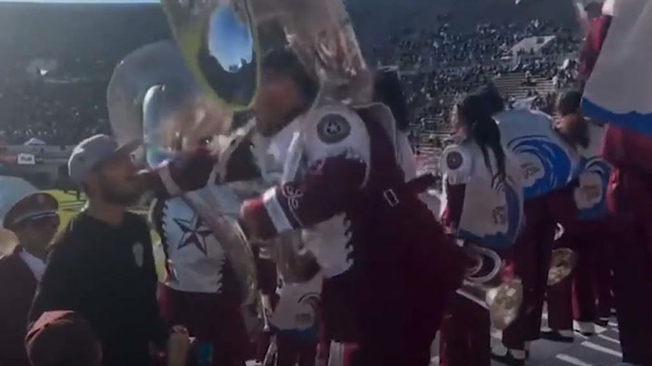 Texas Southern tuba player punches fan in stands at college football