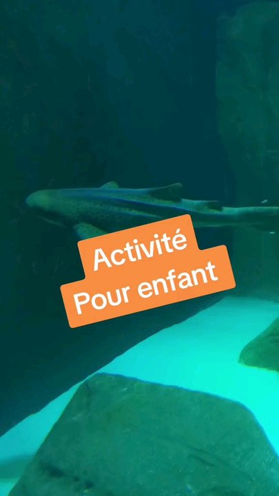 Je test une sortie insolite