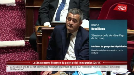 Immigration : "Si nous sommes persuadés qu’une ambiguïté subsiste, nous nous opposerons à ce texte"