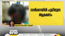 പുലിയുടെ ആക്രമണത്തിൽ ഏഴ് വയസുകാരന് ഗുരുതരപരിക്ക്