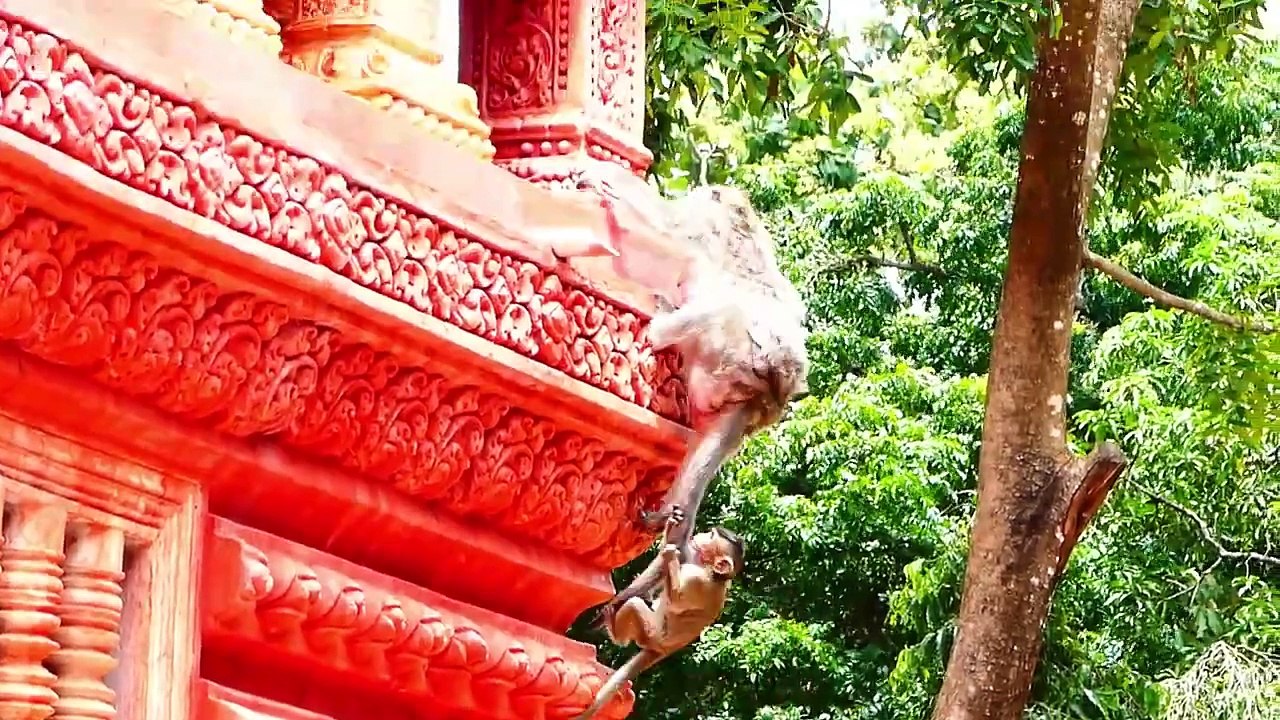 Ah it's so incredible!, Poor little cute Bella girl swing beautifully during holding tail of mother