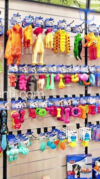 Decreto para las veterinarias y peluquerías para las mascotas