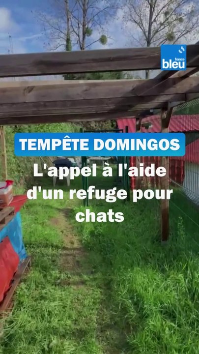 En Dordogne, l'appel à l'aide d'un refuge pour chats ravagé par la crue