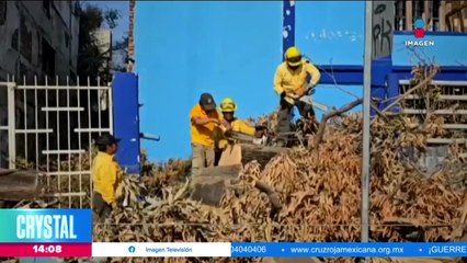 Voluntarios trabajan para retirar la basura de Acapulco