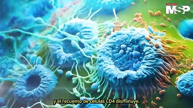 ¿Cuáles son las 4 fases del VIH? - #ExclusivoMSP