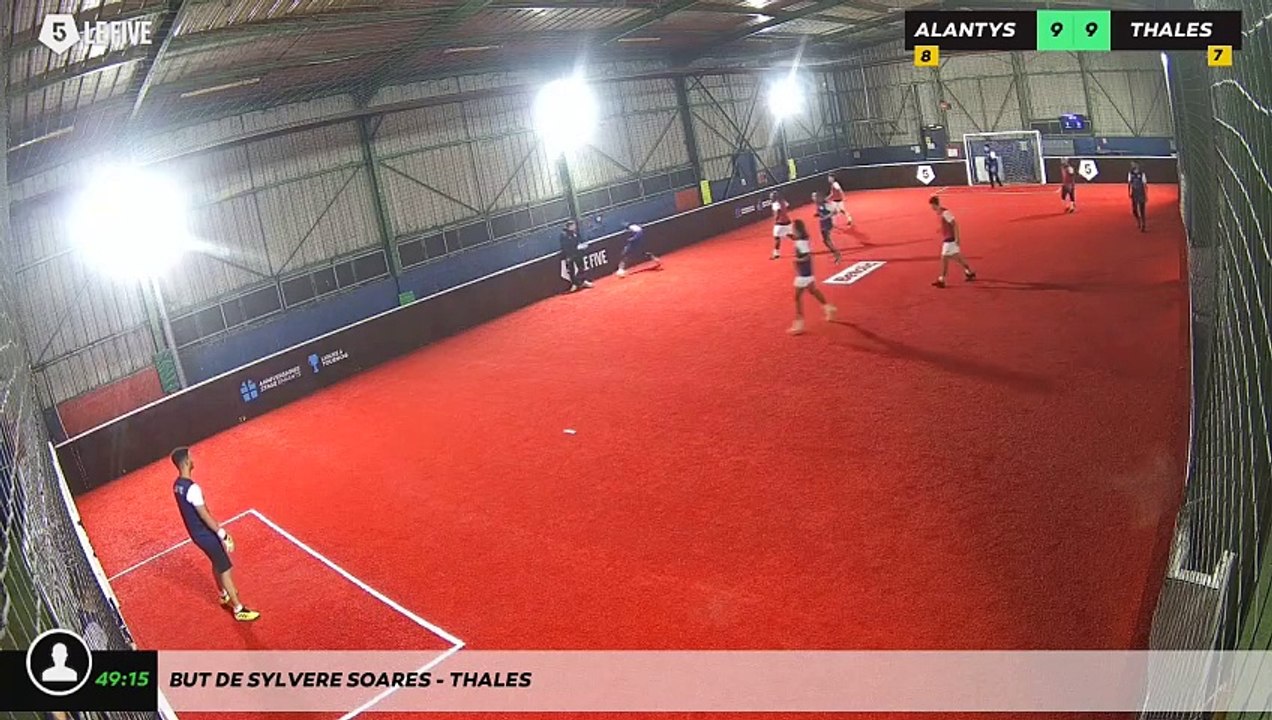 But de Sylvere Soares - THALES