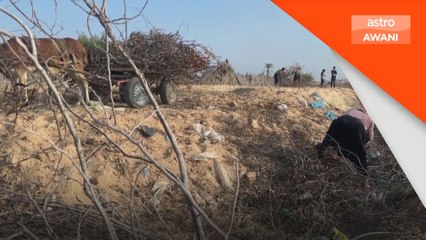 Agensi PBB, NPO gesa gencatan senjata di Gaza