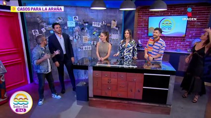 Perros callejeros defienden a su dueño