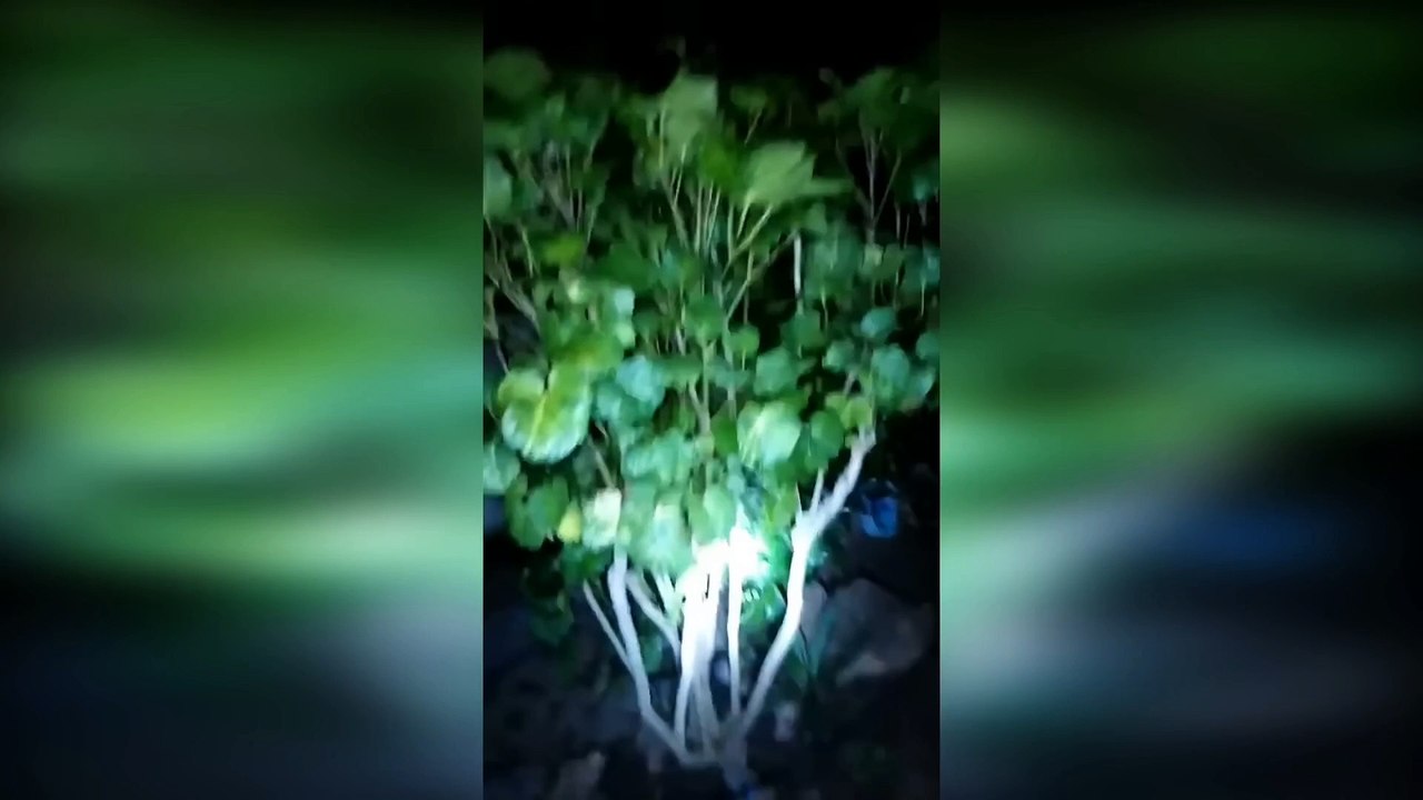 TOP: Las 7 cosas más extrañas encontradas en el fondo del mar II l By Dross