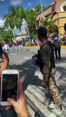 Perro dirige desfile dedicado al Día de la Constitución en San Cristóbal