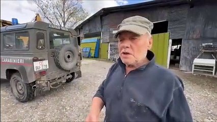 Alluvione, la strage degli animali: cento pecore morte affogate