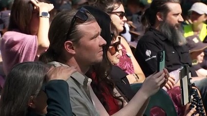 A signficant tree has been bought back from the brink