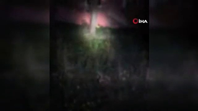 Bolu'da evin bahçesine ayı girdi
