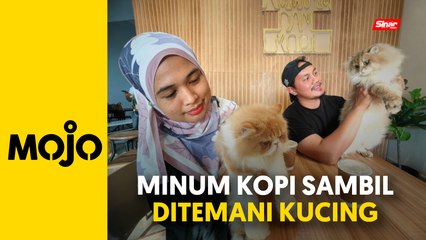 'Healing' minum kopi ditemani si bulus