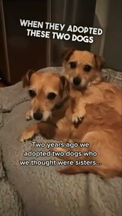 ADORABLE LOVE 