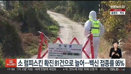 소 럼피스킨 확진 81건으로 늘어…백신 접종률 95%