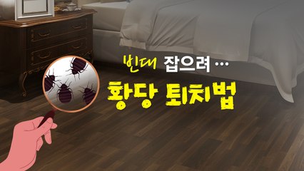 빈대 잡다 바퀴 푼다?...이런 황당 퇴치법은 멀리하세요 [앵커리포트] / YTN