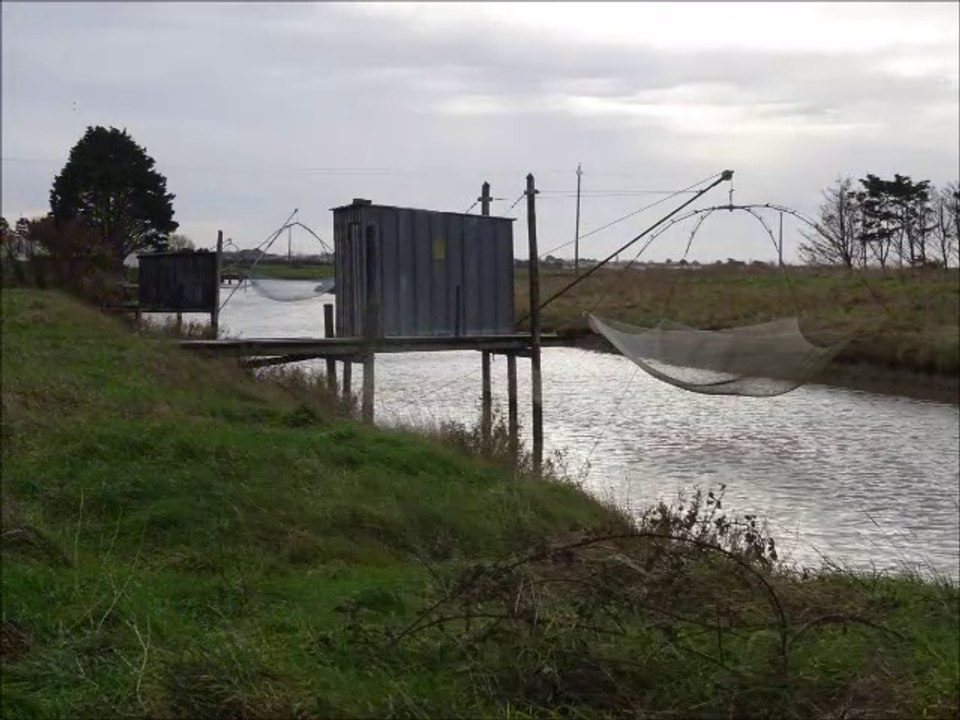 Allons à la pêche