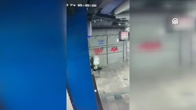 İstanbul’da kediyi tekmeleyip öldüren şahıs, tutuklandı