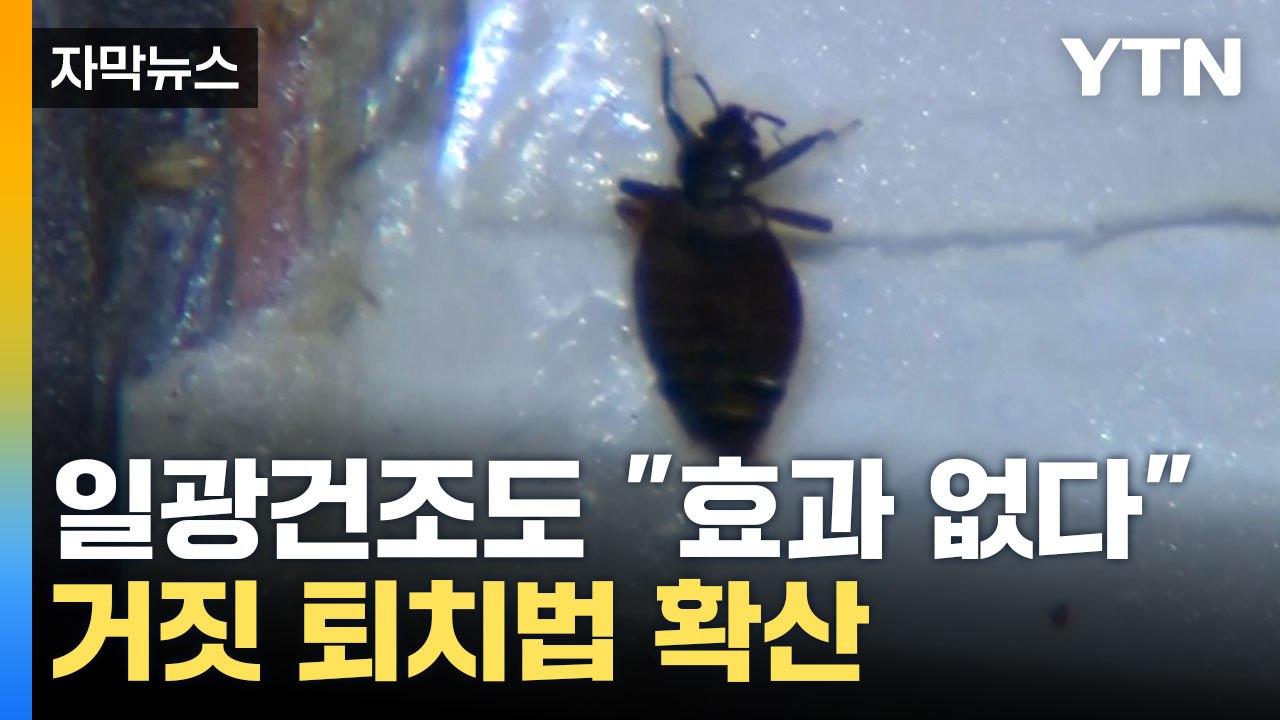 [자막뉴스] '일광건조' 오히려 빈대 키운다? 빈대 공포 언제 끝나나 / YTN