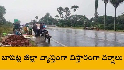 బాపట్ల: జిల్లాలో దంచికొడుతున్న వర్షాలు
