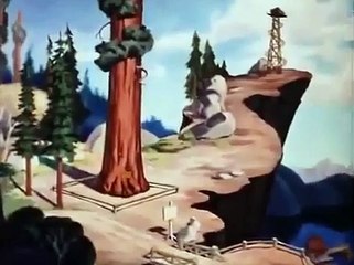 Donald   Donald Duck   Donald Cartoon   Old sequoia