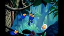 Donald Duck - Clown of the Jungle - Cartoons For Children