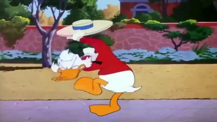 DONALD DUCK CARTOONS DONALD DUCK Deutsch & Chip n Dale CARTOON EPISODES NEW COMPILATION