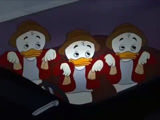 Donald Duck - Lucky Number   Isabel Trott