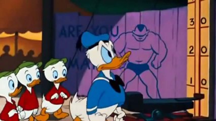 Donald duck cartoons - Canvas back duck