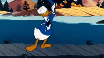 Donald duck cartoons - Chip ahoy
