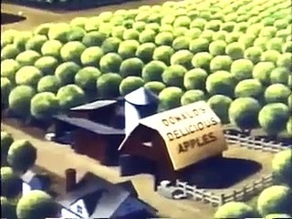 Donald Duck and Chip and Dale   Applecore episode SD