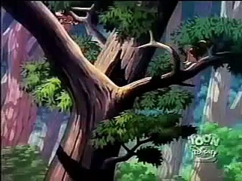 Donald Duck and Chip and Dale All in a nutshell episode Old Cartoons