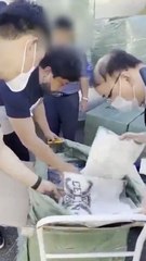 중국서 1조5000억 짝퉁 명품 밀수 조직 검거 🚨