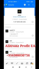Alitronz Copy Trade Robot EA: Automating Your Path to Trading Success II +916388030756