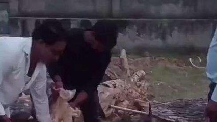 नागौर: स्वास्थ्य विभाग की बड़ी कार्रवाई, दुकानों व गोदामों पर मारा छापा, देखें VIDEO