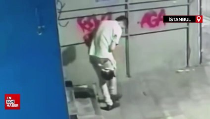 İstanbul'da kaçırdığı kediyi tekmeleyip öldürdü: Tutuklandı