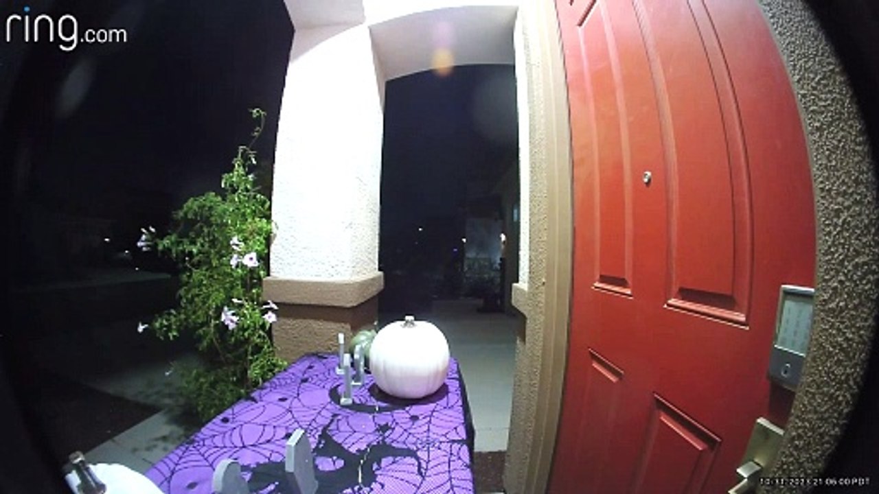 Candy Bandit Takes Whole Bowl - video Dailymotion