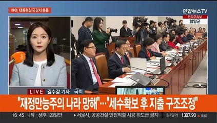 여야, 대통령실 국감서 충돌…'메가시티' 방법론 시각차