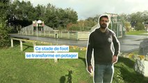 Ce stade de foot se transforme en potager